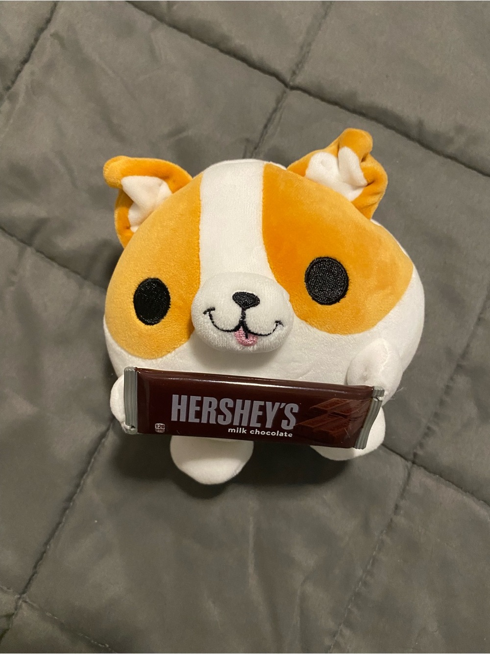 Snackles Hershey corgi